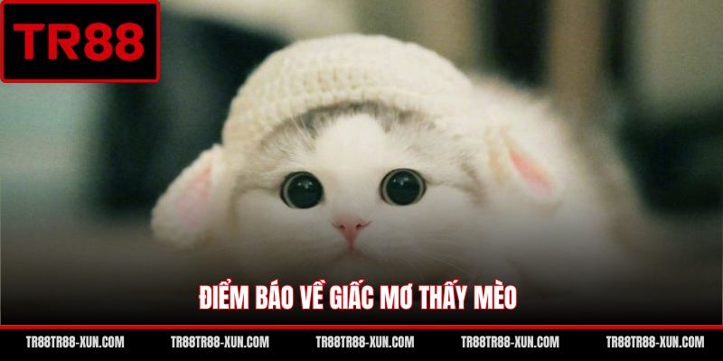 Điểm báo về giấc mơ thấy mèo
