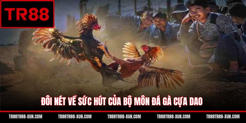 Đôi nét về sức hút của bộ môn đá gà cựa dao