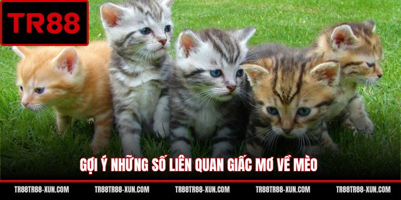 Gợi ý những số liên quan giấc mơ về mèo