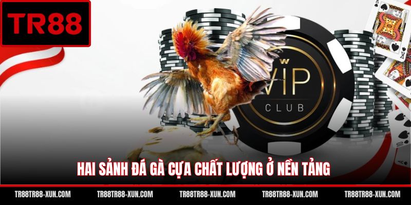 Hai sảnh đá gà cựa chất lượng ở nền tảng