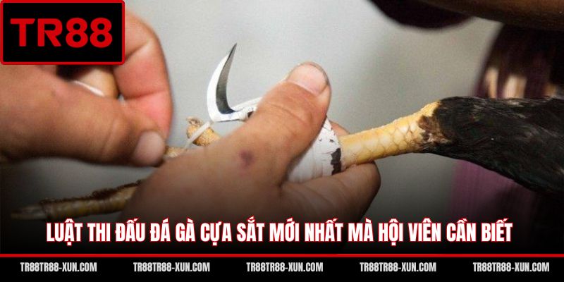 Luật thi đấu đá gà cựa sắt mới nhất mà hội viên cần biết