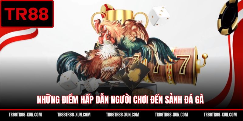 Những điểm hấp dẫn người chơi đến sảnh đá gà