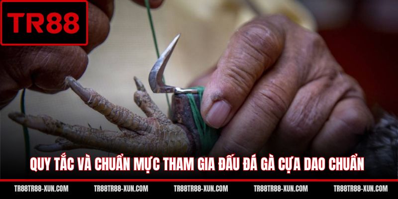 Quy tắc và chuẩn mực tham gia đấu đá gà cựa dao chuẩn