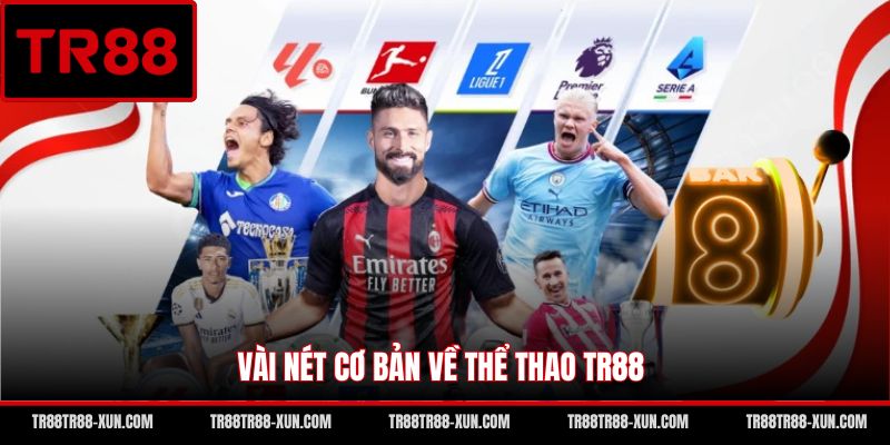 Vài nét cơ bản về thể thao TR88