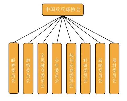 介绍中国乒乓球协会的级别和职责-第2张图片-www.211178.com_果博福布斯