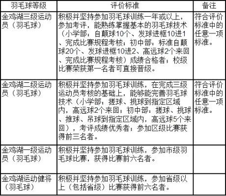 业余羽毛球等级分类及考试流程介绍-第3张图片-www.211178.com_果博福布斯